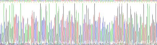 Recombinant Rat Lipoprotein lipase (LPL)