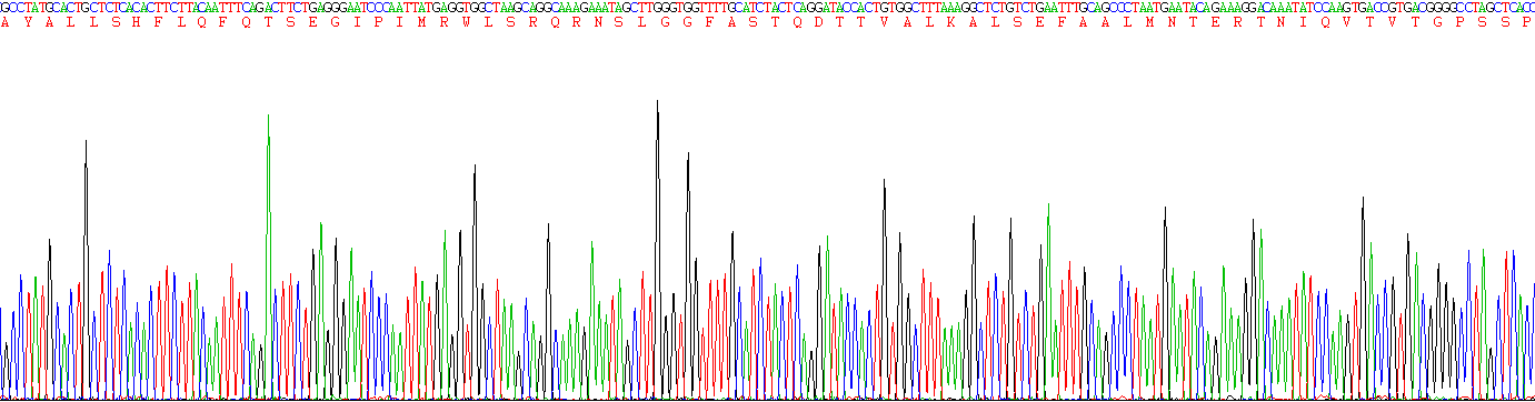 Figure. Gene Sequencing (Extract)