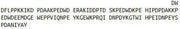 Recombinant Calreticulin (CALR), RPU52828