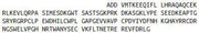 Recombinant Parathyroid Hormone Receptor 1 (PTHR1), RPU52861