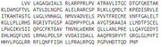 Recombinant 11-Beta-Hydroxysteroid Dehydrogenase Type 2 (HSD11b2), RPU52893