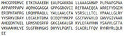 Recombinant N-Acetyltransferase 8 Like Protein (NAT8L), RPU52930