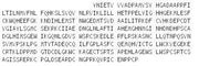 Recombinant A Disintegrin And Metalloproteinase With Thrombospondin 19 (ADAMTS19), RPU52932