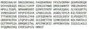 Recombinant Beta Actin (ACTB), RPU52947