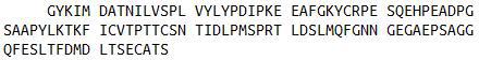 Recombinant Signal Transducer And Activator Of Transcription 3 (STAT3), RPU52951