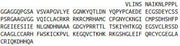 Recombinant Dickkopf Related Protein 1 (DKK1), RPU52963