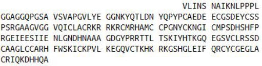 Recombinant Dickkopf Related Protein 1 (DKK1), RPU52963
