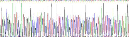 Recombinant Mouse Neuroglobin (NGB)