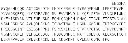 Recombinant A Disintegrin And Metalloprotease 8 (ADAM8), RPU52996
