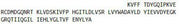 Recombinant Low Density Lipoprotein Receptor Related Protein 1 (LRP1), RPU53016
