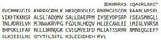 Recombinant Estrogen Receptor Alpha (ERa), RPU53018