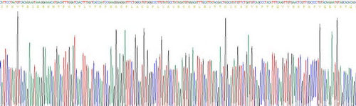 Recombinant Mouse Integrin Alpha 1 (ITGa1)
