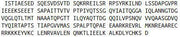 Recombinant Cyclic AMP Response Element Binding Protein (CREB), RPU53030