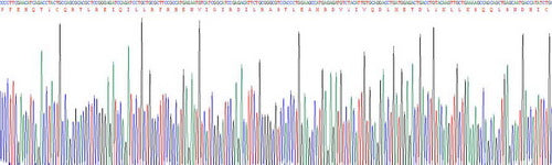 Recombinant Human Extracellular Signal Regulated Kinase 1 (ERK1)