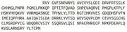 Recombinant Semaphorin 7A (SEMA7A), RPU53046
