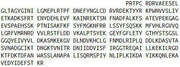 Recombinant Complement Component 9 (C9), RPU53066