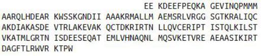 Recombinant Vinculin (VCL), RPU53068