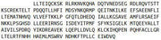 Recombinant Farnesoid X Receptor (FXR), RPU53082