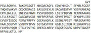 Recombinant Tripeptidyl Peptidase I (TPP1), RPU53115
