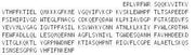 Recombinant Cytochrome b-245 Beta Polypeptide (CYBb), RPU53126