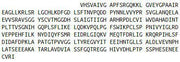 Recombinant Arginase II (Arg2), RPU53145