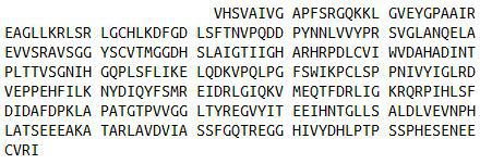 Recombinant Arginase II (Arg2), RPU53145
