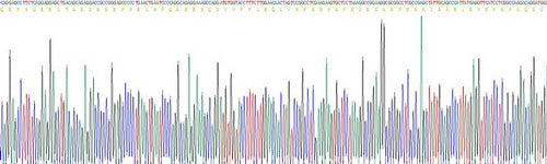 Recombinant Mouse Tumor Necrosis Factor Ligand Superfamily, Member 12 (TNFSF12)