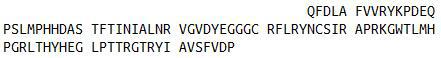 Recombinant Procollagen Lysine-1,2-Oxoglutarate-5-Dioxygenase 1 (PLOD1), RPU53159