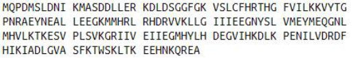 Recombinant Receptor Interacting Serine Threonine Kinase 1 (RIPK1), RPU53171
