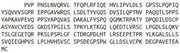 Recombinant Interleukin 22 Receptor (IL22R), RPU53176