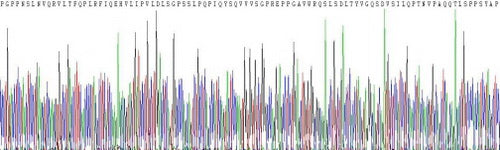 Recombinant Mouse Interleukin 22 Receptor (IL22R)