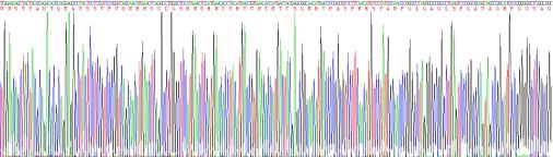 Recombinant Human Forkhead Box Protein A1 (FOXA1)