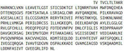 Recombinant ATPase, Na+/K+ Transporting Alpha 1 Polypeptide (ATP1a1), RPU53211