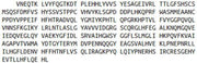 Recombinant Dipeptidyl Peptidase 9 (DPP9), RPU53214