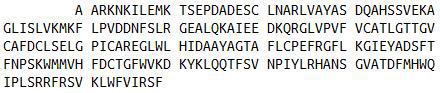 Recombinant Histidine Decarboxylase (HDC), RPU53217
