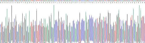 Recombinant Human Phosphatidylinositol-4-Kinase Catalytic Alpha (PI4Ka)