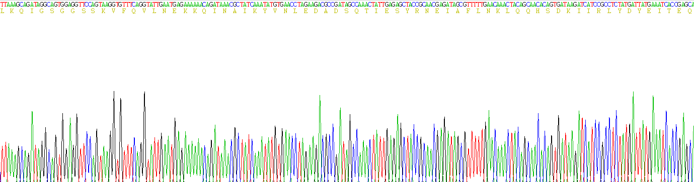 Figure. Gene Sequencing (Extract)