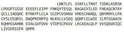 Recombinant Tumor Protein p53 Binding Protein 1 (TP53BP1), RPU53233