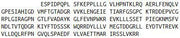 Recombinant Adipocyte Plasma Membrane Associated Protein (APMAP), RPU53308