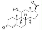 OVA Conjugated 11-Hydroxyprogesterone (11-OHP), RPU53321