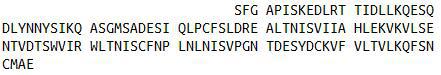 Recombinant Interleukin 31 (IL31), RPU53345