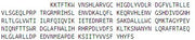 Recombinant Spectrin Beta, Non Erythrocytic 4 (SPTbN4), RPU53441