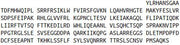 Recombinant Histidine Decarboxylase (HDC), RPU53446