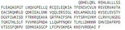 Recombinant TNF Receptor Associated Factor 2 (TRAF2), RPU53452