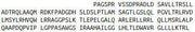 Recombinant Interleukin 11 (IL11), RPU53481