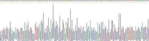 Recombinant Mouse Interleukin 4 (IL4)
