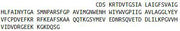 Recombinant Aquaporin 4 (AQP4), RPU53498