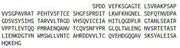 Recombinant Signal Regulatory Protein Beta 1 (SIRPb1), RPU53510
