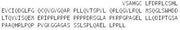 Recombinant Protein Tyrosine Phosphatase Receptor Type N (PTPRN), RPU53512