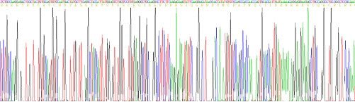 Recombinant Human Estrogen Receptor Alpha (ERa)